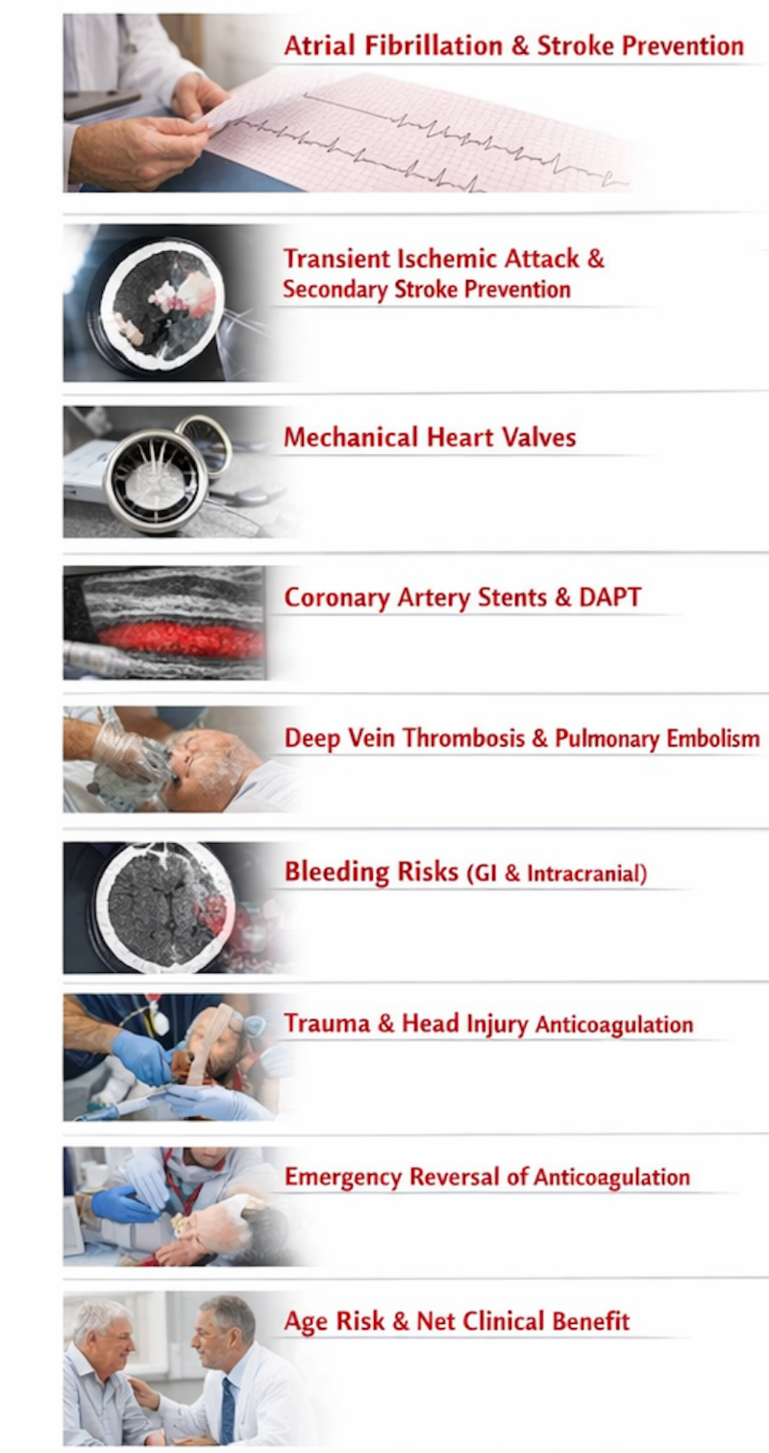 Evidence topics: atrial fibrillation, stroke prevention, DVT/PE, bleeding risks, trauma, reversal, age risk